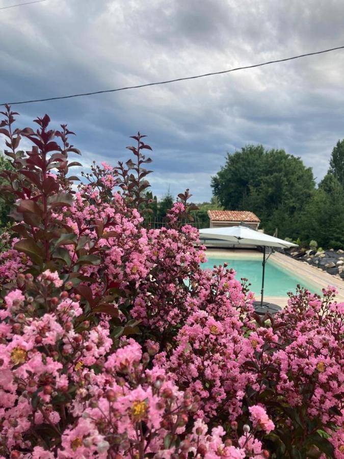 Gite Abeille-Soleil Saint-Nicolas-de-la-Grave エクステリア 写真